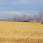 Feldbrand zwischen Tantow und Rosow 23.07.2014